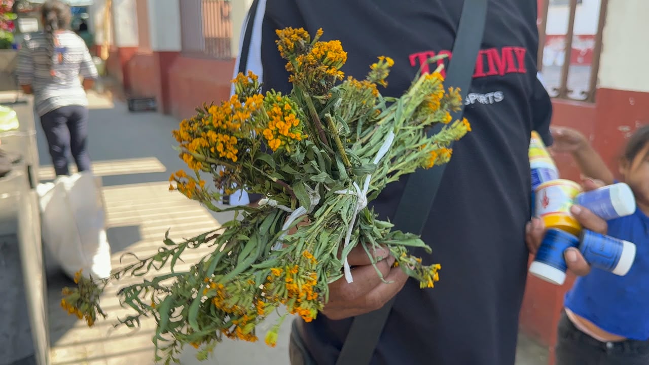Se reduce la venta de cruces de pericón en Cuautla
