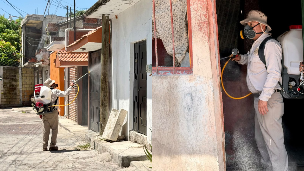 Infestación de pulgas y garrapatas moviliza a autoridades en Cuautla