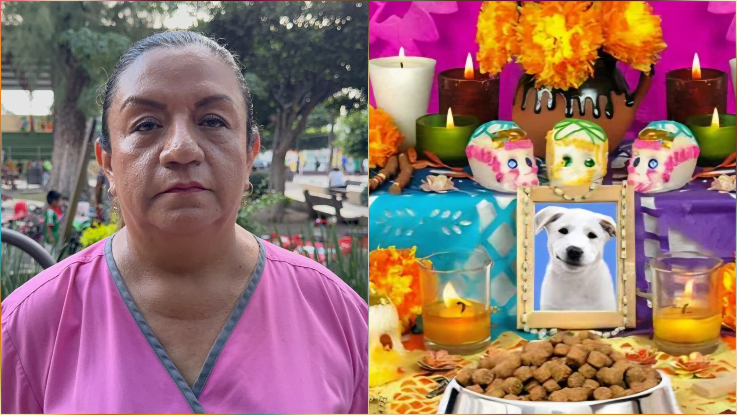 Realizarán ofrenda comunitaria para mascotas en el parque Emiliano Zapata