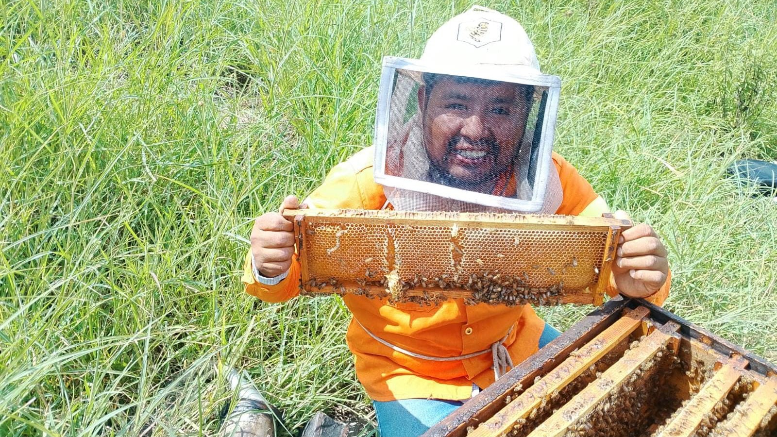 Lluvias favorecen a apicultores de Ayala; esperan buena cosecha de miel Lluvias favorecen a apicultores de Ayala; esperan buena cosecha de miel