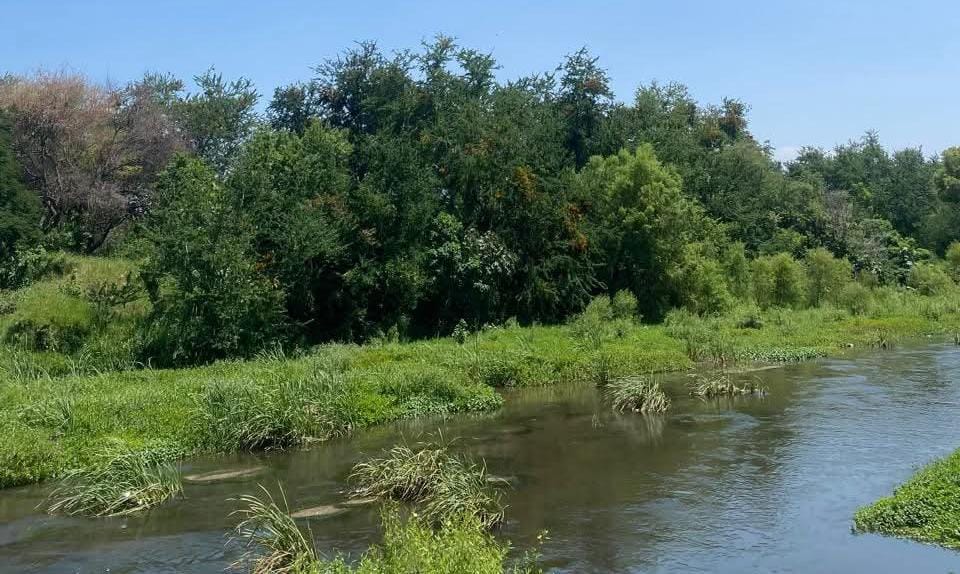Protección Ambiental de Ayala vigila la ribera del río Cuautla