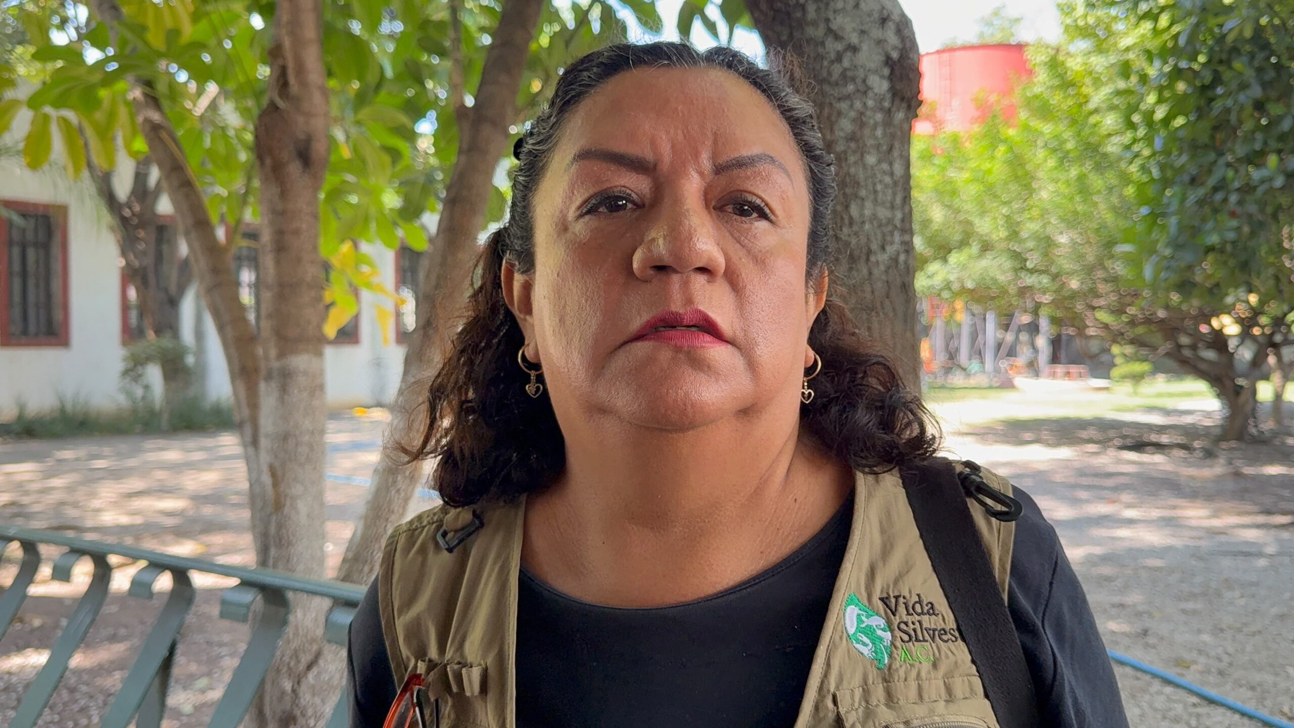 Refuerzan protección de fauna silvestre y educación ambiental en Cuautla