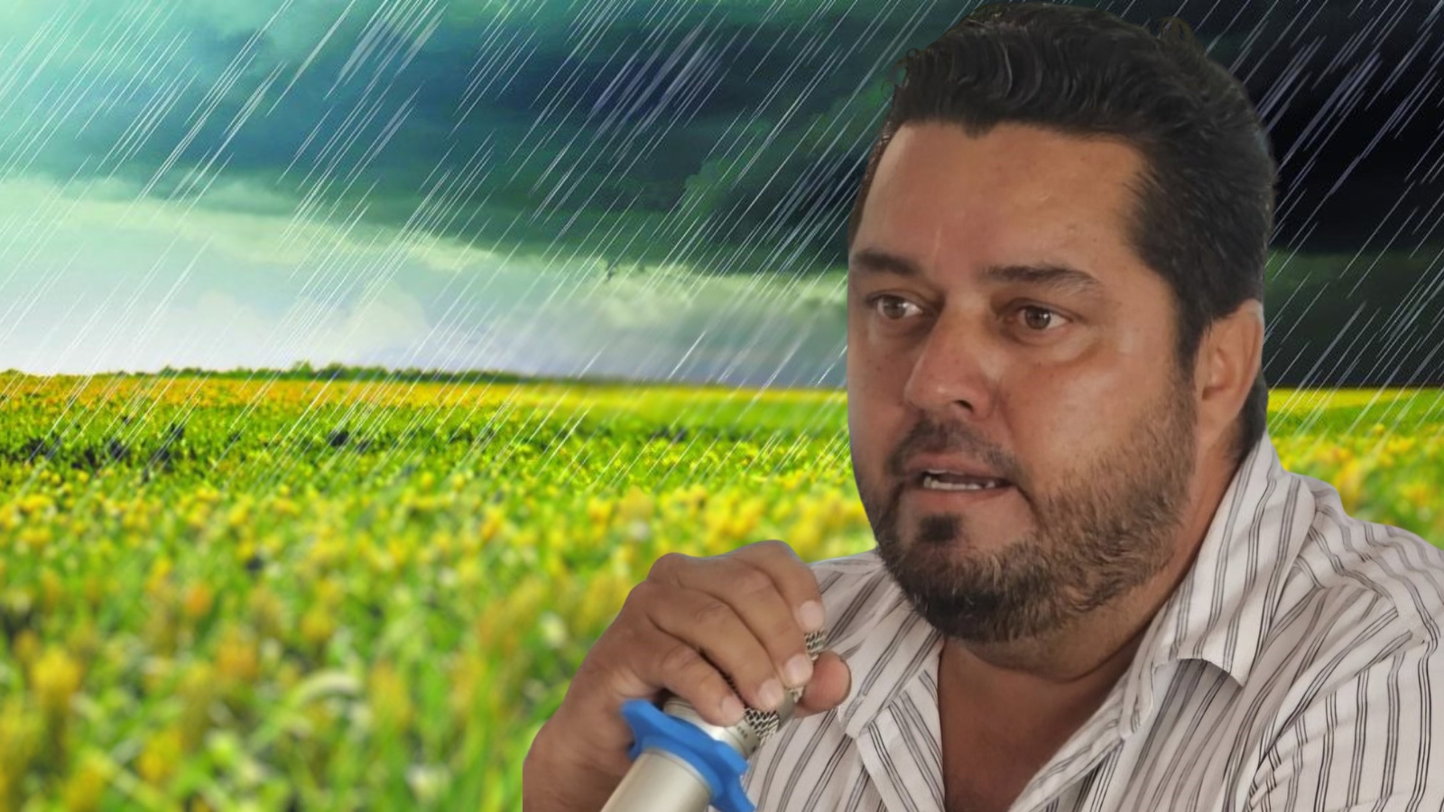 Lluvias atípicas amenazan recuperación de cultivos de maíz y sorgo en Morelos Lluvias atípicas amenazan recuperación de cultivos de maíz y sorgo en Morelos