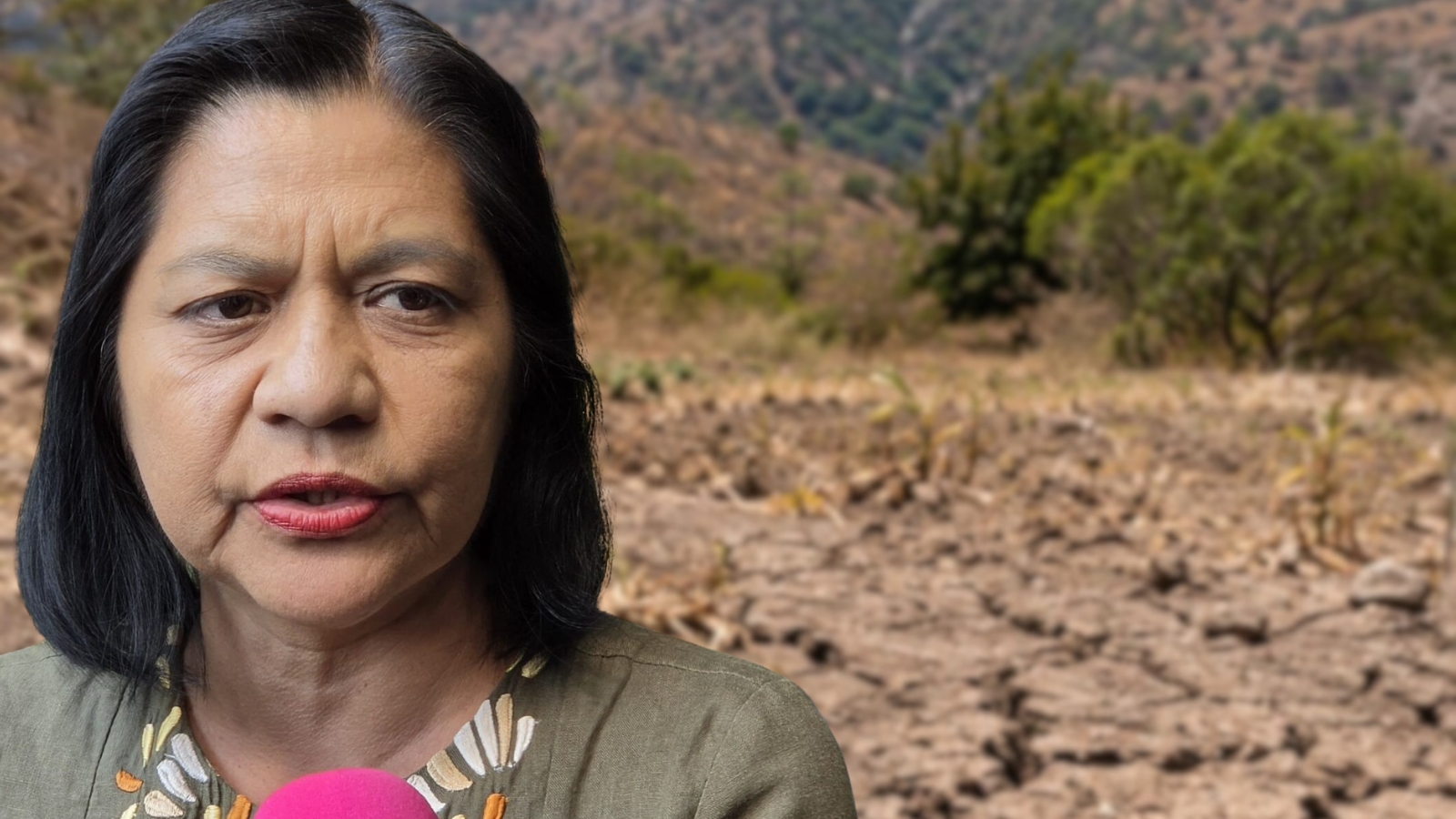 Sequía daña 25 mil hectáreas de maíz en Morelos Sequía daña 25 mil hectáreas de maíz en Morelos